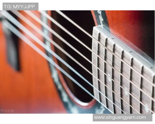 姚明2017年资产状况分析及其对中国篮球发展的影响探讨