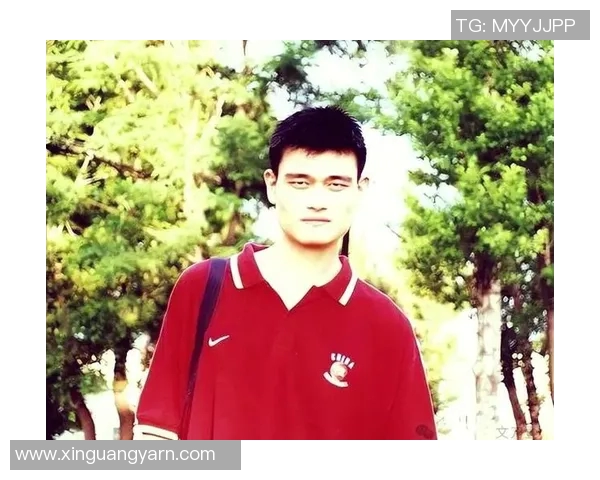 姚明篮球袜的传奇之路与篮球文化的深度融合探讨