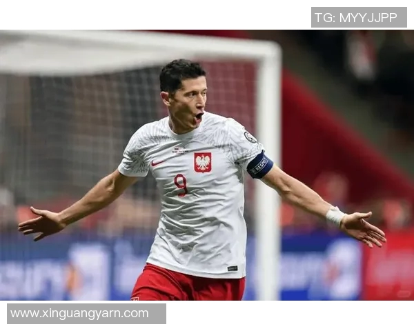 波兰足球明星的崛起与成就探讨