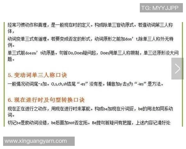 体育课中常用的英文口令及其背后的意义解析与应用技巧分享